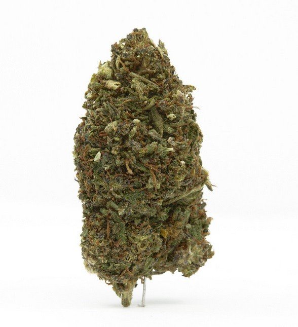 Fortified Sour Glue Delta 8 Hemp Flower