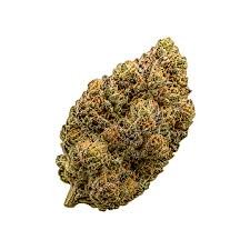 Golden Pineapple Flower