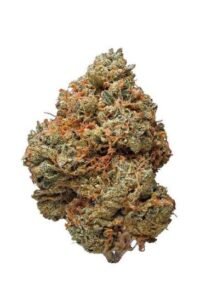 Night Terror Og Strain