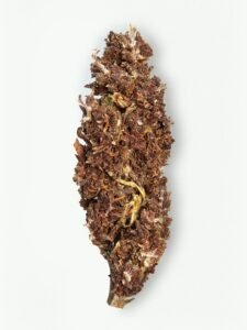 Velvet Grape Flower